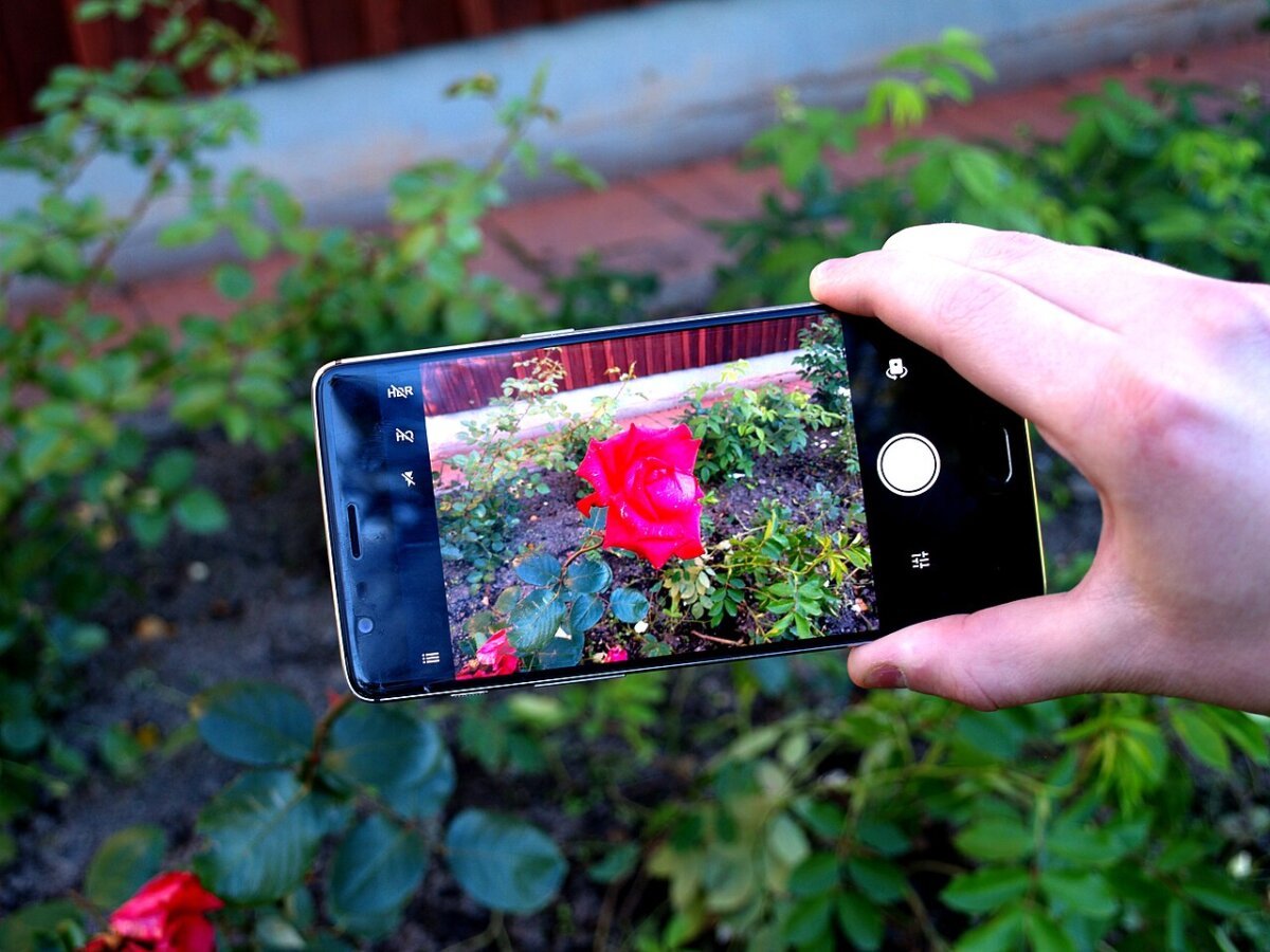 Taking photo with OnePlus 3 mobile phone.jpg