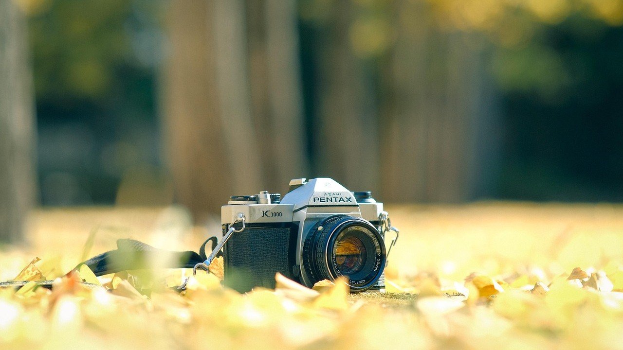 Câmera Pentax sobre o solo com folhas de árvores e troncos de árvores ao fundo desfocado, ilustrando artigo A Pentax ainda fabrica câmeras?