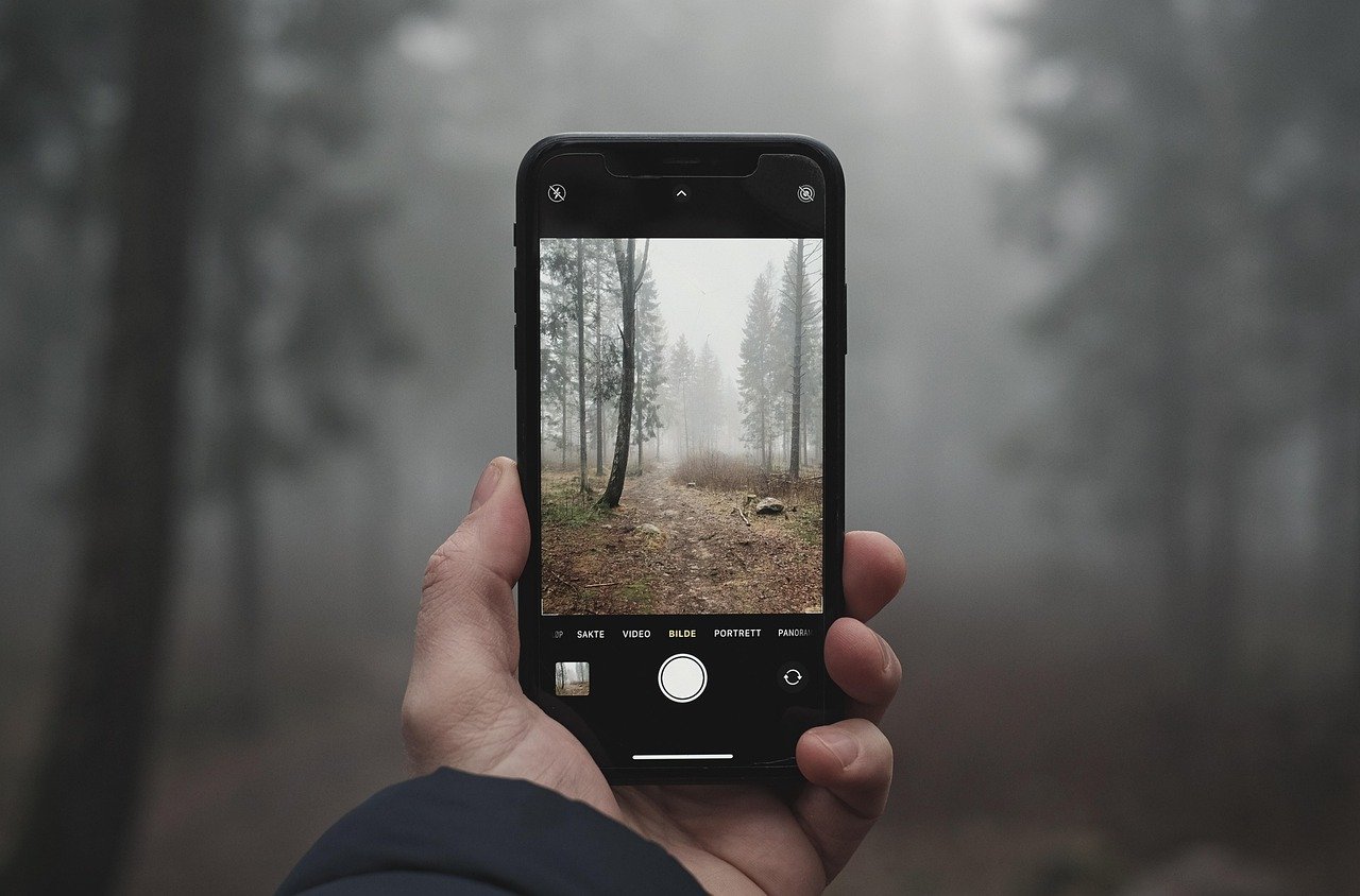 Pessoa fotografando uma floresta com o celular, em conteúdo sobre Google Fotos e armazenamento de imagens na nuvem.